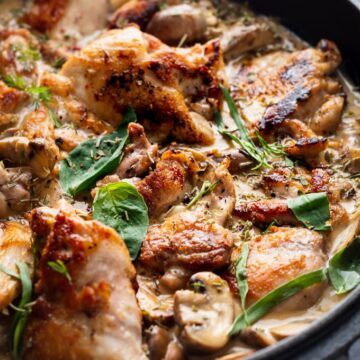 chicken thighs stroganoff